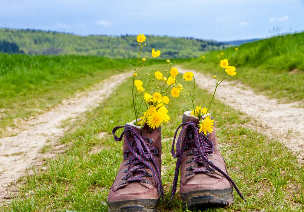 Mehr über den Artikel erfahren Mai-Wanderung